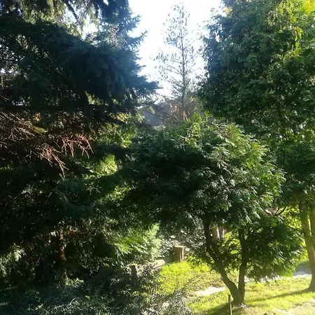 Roza Apartman Apartment Zalacsany